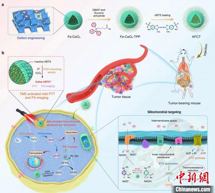 中国高校科研团队“解锁”癌症光热疗法