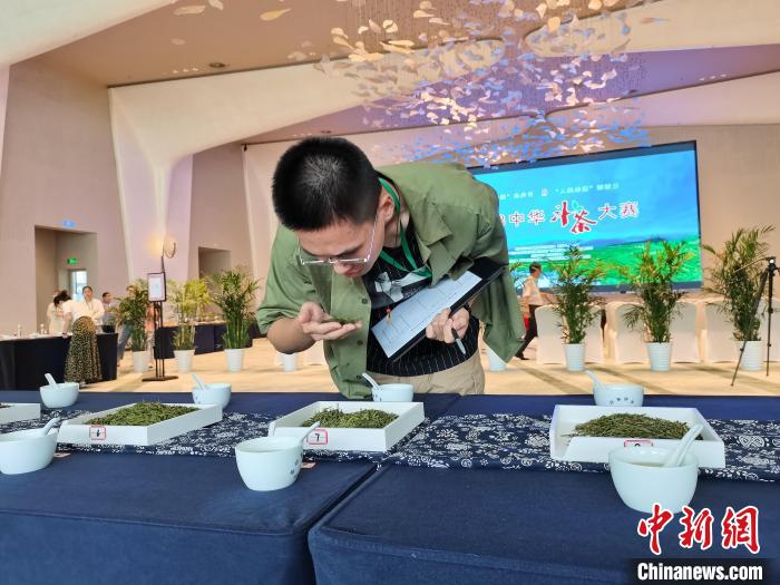 专家选手聚浙江磐安“斗茶”共品茶文化魅力